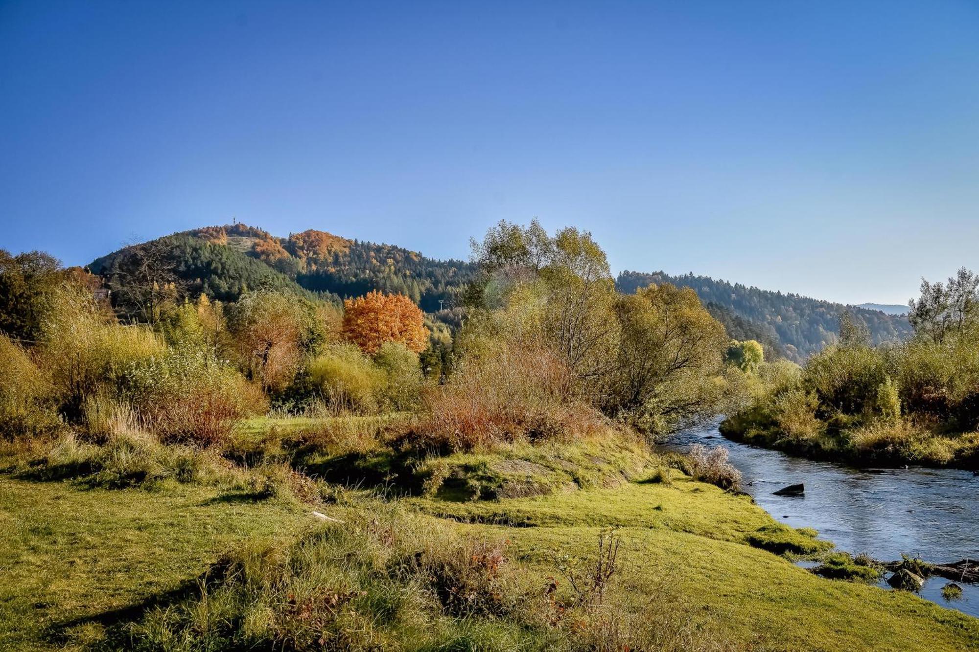 Dulakowka - Domek Na Kazda Pogode Piwniczna-Zdroj Exteriör bild